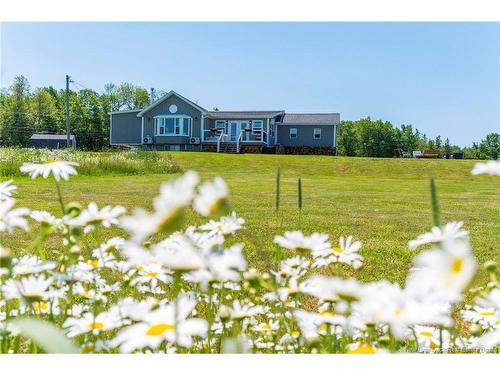 520 Middlesex Rd, Colpitts Settlement, NB 