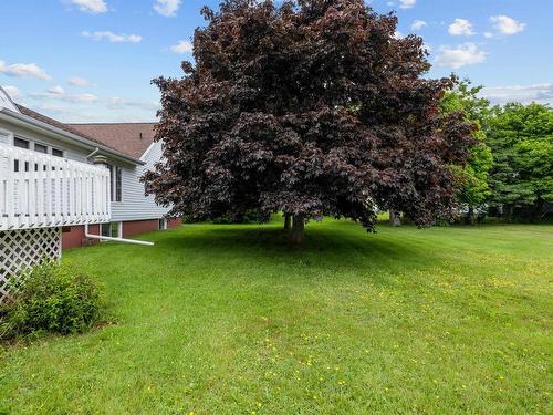 49 Birchwood Heights, Summerside, PE 