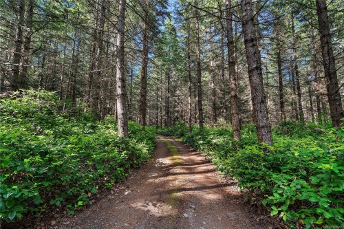 377 Evergreen Lane, Sidney Island, BC 