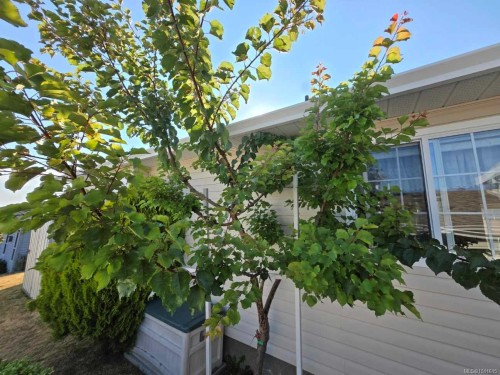 38 Eagle Lane, View Royal, BC 