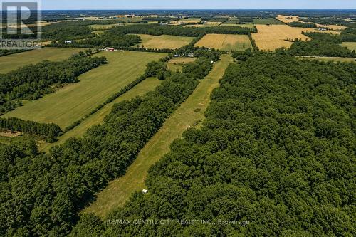 23171 Talbot Line, West Elgin, ON 