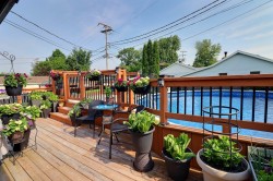 Terrasse - 