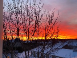 View - 