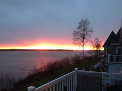 View - 