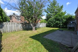 Courtyard - 