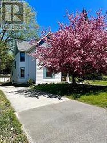 17 WAUBEEK STREET  Parry Sound, ON P2A 1B8