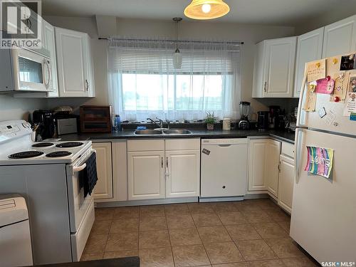 344 Young Street, Macoun, SK - Indoor Photo Showing Kitchen With Double Sink