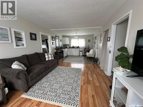 344 Young Street, Macoun, SK - Indoor Photo Showing Living Room