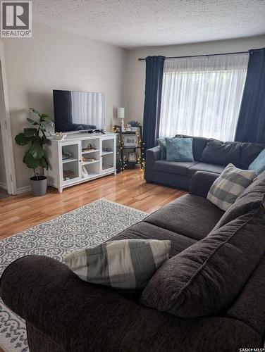 344 Young Street, Macoun, SK - Indoor Photo Showing Living Room