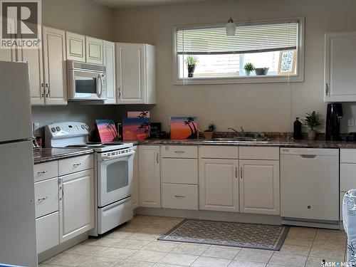 344 Young Street, Macoun, SK - Indoor Photo Showing Kitchen With Double Sink