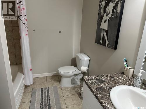 344 Young Street, Macoun, SK - Indoor Photo Showing Bathroom