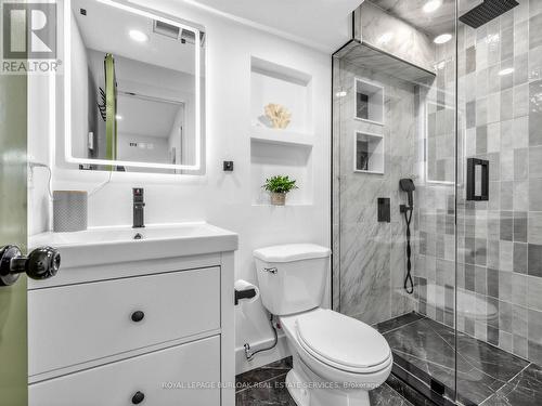 Lower Level 3 piece Bathroom - 13 Swanhurst Boulevard, Mississauga, ON - Indoor Photo Showing Bathroom
