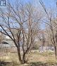 1954 Winnipeg Street, Regina, SK 