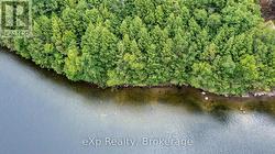 27 WA LOON BAY Carling, ON P0G 1G0