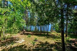 Waterside Yard - 