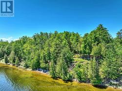 Shoreline - 