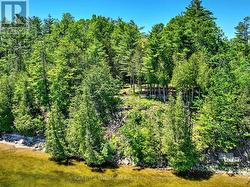 Shoreline - 