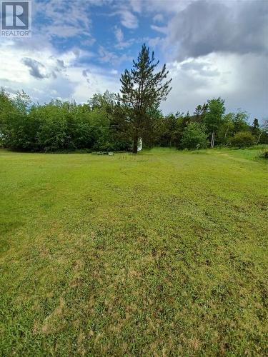 9 Juniper Crescent, Traytown, NL 