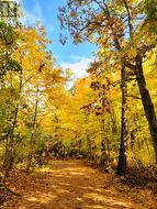 Walking trails - 
