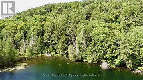 0 Island Lake Wao Island, Kearney, ON 