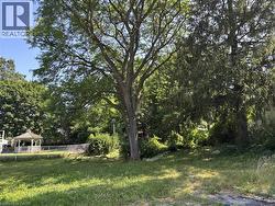 6 SHERWOOD Drive Guelph, ON N1E 1R6