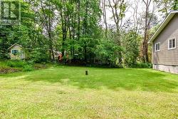 Large Well Treed Lot - 