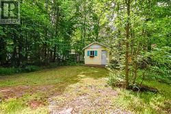 Bunkie - 