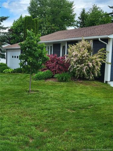 50 Alphonse St, Shediac, NB 