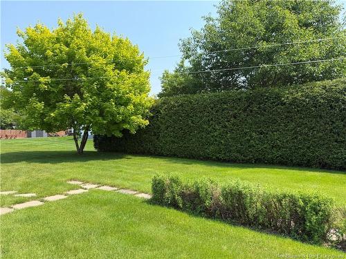 19 Boucher St, Saint-Jacques, NB 