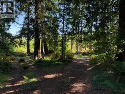 Lot 16 DOVER STREET Powell River, BC None
