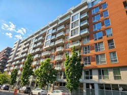 219-950 Rue Notre-Dame O.  Montréal (Le Sud-Ouest), QC H3C 0K3