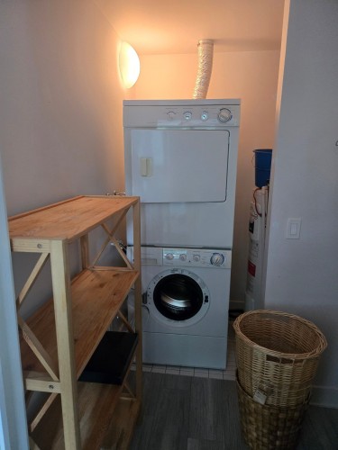 Salle d'eau - 219-950 Rue Notre-Dame O., Montréal (Le Sud-Ouest), QC - Indoor Photo Showing Laundry Room