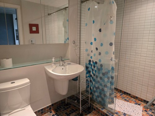 Salle de bains - 219-950 Rue Notre-Dame O., Montréal (Le Sud-Ouest), QC - Indoor Photo Showing Bathroom