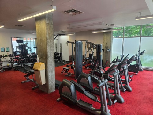 Salle d'exercice - 219-950 Rue Notre-Dame O., Montréal (Le Sud-Ouest), QC - Indoor Photo Showing Gym Room