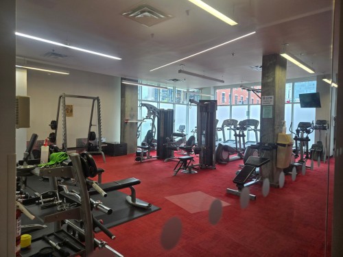 Salle d'exercice - 219-950 Rue Notre-Dame O., Montréal (Le Sud-Ouest), QC - Indoor Photo Showing Gym Room