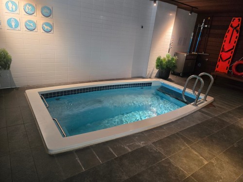 Piscine - 219-950 Rue Notre-Dame O., Montréal (Le Sud-Ouest), QC - Indoor Photo Showing Other Room With In Ground Pool