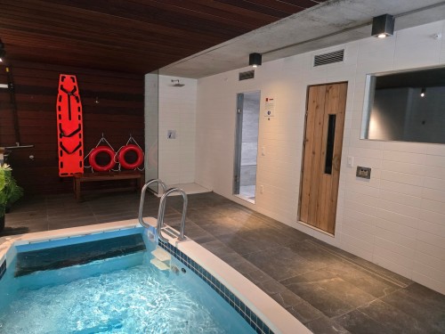 Sauna - 219-950 Rue Notre-Dame O., Montréal (Le Sud-Ouest), QC - Indoor Photo Showing Other Room With In Ground Pool