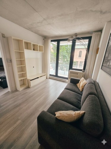 Salon - 219-950 Rue Notre-Dame O., Montréal (Le Sud-Ouest), QC - Indoor Photo Showing Living Room