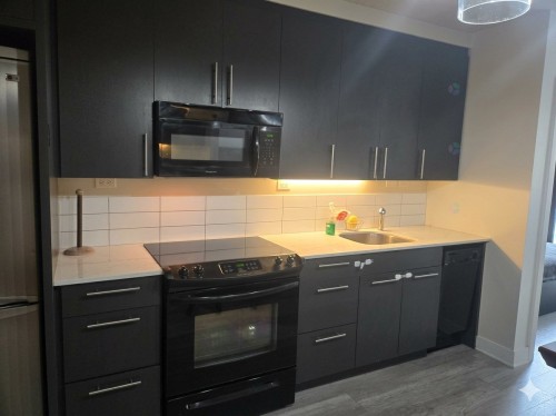 Cuisine - 219-950 Rue Notre-Dame O., Montréal (Le Sud-Ouest), QC - Indoor Photo Showing Kitchen With Upgraded Kitchen