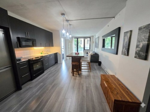 Vue d'ensemble - 219-950 Rue Notre-Dame O., Montréal (Le Sud-Ouest), QC - Indoor Photo Showing Kitchen