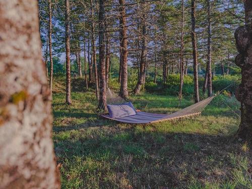 7192 Highway 308, Quinan, NS 