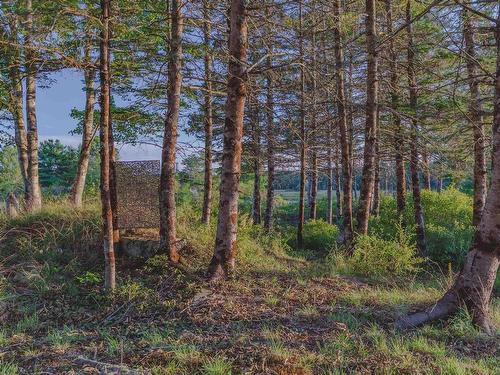 7192 Highway 308, Quinan, NS 