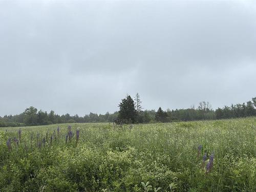 Wallie Mingo Road, Keeble, NS 