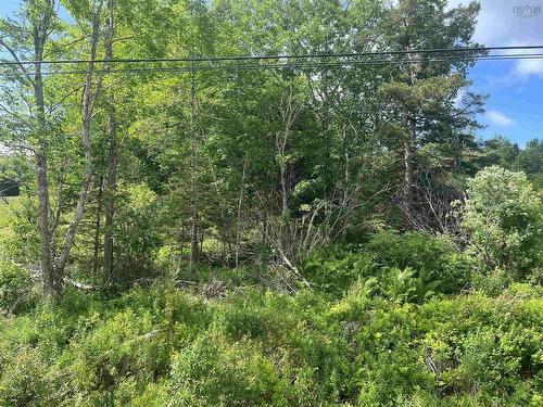 Lot Highway 10, Springfield, NS 