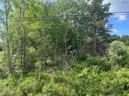 Lot Highway 10, Springfield, NS 