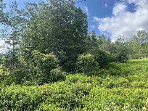 Lot Highway 10, Springfield, NS 