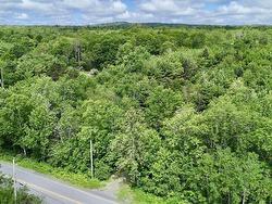 Lot P1 Mines Road  Upper Falmouth, NS B0P 1P0
