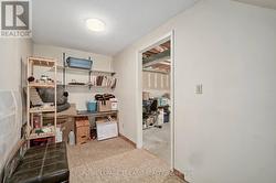 Plenty of basement storage - 