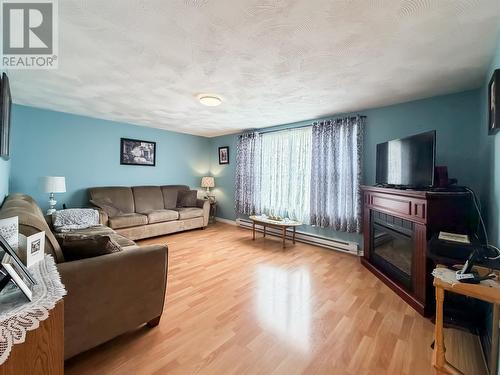 671 Sunset Drive, Garnish, NL 