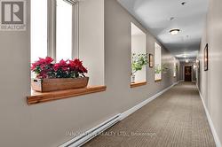 No neighbours across the hall or above! - 